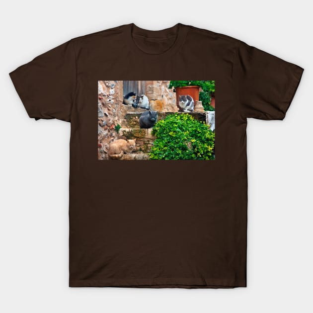 Siesta time for the cats of Monemvassia T-Shirt by Cretense72